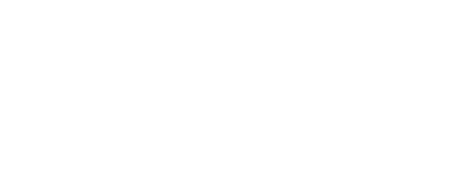 BVMW e.V. Logo